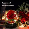 Fleurs décoratives Gift de jour de la Saint-Valentin LED Rose éternelle avec lumières de cordes en galaxie enchantée en dôme pour décoration de mariage à la maison