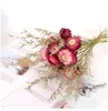 Fleurs décoratives 10 tête vraie marguerite naturelle séchée fleur pour résine bijoux ongles autocollants maquillage art artisanat cour et jardin décor à la maison