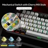 Клавиатуры Akko 5075B Plus V2 75 Механическая игровая клавиатура 3 5-контактная замена трех режимов RGB 2 4 ГГц Беспроводная связь USB Type C Bluetooth 5 0 231117