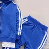 Kleidung Sets Frühling Baby Casual Trainingsanzug Kinder Jungen Mädchen Baumwolle Reißverschluss Jacke Hosen 2 Teile / Sätze Kinder Freizeit Sport Anzug Säuglingskleidung 230418