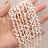 Perles naturelles d'eau douce blanc double face lumière 37 trous perle collier à faire soi-même Bracelet cheville bijoux fête exquise fabrication de cadeaux