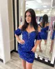 Cocktail curto Nye Dress 2023 Royal-Blue Red Velvet Leca Lady Formal Evento Party Vestido Sweetheart Night Night Out Graduation Hoco Homecoming Gala Puff Sleeves Pink