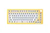 Teclados NextTime X75 75 Junta Mecânica Kit de teclado PCB Swappable Switch Efeitos de iluminação RGB Switch LED Type C Next Time 75 231117
