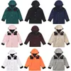 Northface женские дизайнерские каменные карманные куртки Island Jacket the Northface куртка с длинными рукавами на молнии Значки Мужская футболка Повседневное пальто Ветровка the Northface 9634