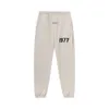 2023 Новые мужские и женские брюки High Street Brand Essentialsweatpant с флокированным принтом 1977 года, утягивающий ремень с галстуком, спортивные плюшевые повседневные брюки