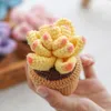 Decorative Flowers Artificial Hand Knitted Crochet Succulent Bonsai Fake Plant Potted Gifts Home Table Living Room Office Party Decoration