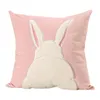 Pillow Velvet Throw Embroidery Couple Cover Pink Silk Pillowcase Set For Hair And Skin Pillowcases Tie