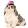 Dog Apparel Funny Pet caps Costume Apparel Accessories Cowboy Hats with Adjustable Elastic Chin Strap hat LT358