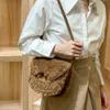 Fashion teddy hobo bag women's shoulder Bag Ce designer bags women nubuck leather handbag metal buckle messenger bag