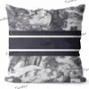 Designer Pillow Case Home Decor Pudowcase Couch Stol Soffa Tjock kudde Multisize Men Kvinnor Casual Designer Kuddar