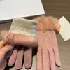 Klassiska lädertjockar handskar designer Autumn Winter Warm Five Fingers Gloves Mittens For Women