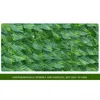 Decorative Flowers Privacy Fence Wall Screen 19.6x118in Artificial Ivy Joint Prevent Leaves Falling Off Faux Hedge Panels