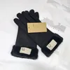 Vijf Vingers Handschoenen Buiten Warm Volledige Vinger Touchscreen Handschoenen Voor Heren Dames Winter Winddicht Waterdicht Antislip Verdikt Koudbestendig Rijhandschoen Cadeau