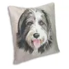 Oreiller mode merveilleux colley barbu chien jeter couverture décoration personnalisé carré Animal de compagnie 45x45cm pour canapé