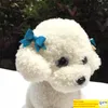 Cute Dog Bowknot Ornamenti Elastico Accessori per toelettatura animali fatti a mano Fiocco in nastro misto yq01109