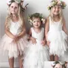 세례 드레스 EVA Store 65 배치 2024 배 배달 전 배달 전 QC 사진과의 지불 링크 아기 출산 의류 dhygs