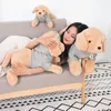 Plush Dolls Golden plush toys filled with animals soft Labrador dog pillows stickers childrens and girls baby room decoration gifts 231117