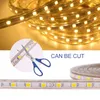 Remsor LED -remsa 60LEDS/M flexibelt ljus utomhus vattentätt med switch EU US Plug Home Decorled Stripsled