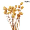 Dekoratif Çiçekler 30 PCS kurutulmuş çiçek Brezilyalı Küçük Yıldız Çempila Chrysanthemum Art Decor DIY XQMG Yapay Dekorasyonlar 2023