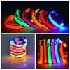 Dog Collars LEASHES USB充電LED DOG COLLAR SAFETY NIGHT LIGHT LIGHT LISHING NECKLACE蛍光ペット製品231117