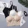 Bras Chrleisure Bralette кружевное нижнее белье сексуальное красоту бюстгальтеры для женщин собирают дикое дышащее женское нижнее белье P230417