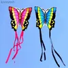 Accessoires de cerf-volant Livraison gratuite cerf-volant papillon en plein air enfants cerf-volant jouets volants ripstop nylon carpe Koi cerf-volant papillon cerf-volant aigle jouet windL231118