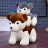 Poupée Imitation Husky, jouets en peluche Erha mignons, vente en gros, oreiller chien Chai, cadeau