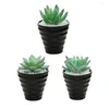 Flores decorativas Bonsai artificial com POTS simulação interna suculenta miniatura mini -planta PVC Mini Plantas Arranjo de casamento Tipo1