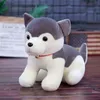 Poupée Imitation Husky, jouets en peluche Erha mignons, vente en gros, oreiller chien Chai, cadeau