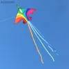 Kite Accessories free shipping rainbow plane kites for children kites flying fighter kite line outdoor kites toys professional wind kite factoryL231118