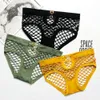 Sexiga trosor kvinnor exotiska fisknätet mesh kvinnliga underkläder ihåliga transparenta flickor plus storlek intimat