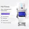 17 en 1 instrument de beauté de gestion complète de la peau vaporisateur d'hydroxyle salon de beauté machine de soins du visage multifonctionnelle blanchissant l'hydratation