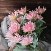 Fleurs décoratives Fleur artificielle Pincushion Crab Craw Chrysanthemum Home salon El Party Wedding Photor Decoration Fake Leaf