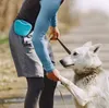 ポータブル犬のトレーニングウエストバッグシリコンフィーダースナックベイト犬服従敏ilityアウトドアフードストレージポーチ食品報酬ウエストバッグlx030