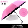 Umbrellas Black Plastic Umbrella Custom Wholesale Flower Sunscreen 30% Off Sun LOGO Advertising