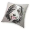 Oreiller mode merveilleux colley barbu chien jeter couverture décoration personnalisé carré Animal de compagnie 45x45cm pour canapé