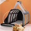 Cat Carriers Crates Houses Pet Outing Portable Cat Dogs Handbag Summer Breathable Carrier Travel Puppy Kitten Single Shoulder Bag Q231118