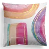 Pillow 45x45cm Nordic Luxury Abstract Hand Painted Pillowcase Intense Color Sofa Cover Peach Skin Velvet Oil Painting