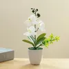 Fiori decorativi Farfalla Orchidea Bonsai Vaso di fiori artificiali Decorazioni per la casa Giardino Accessori per la decorazione del soggiorno Falso mestiere di piante verdi