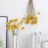 Fiori decorativi 5pcs sfere dorate colorate essiccate naturali per materiale fatto a mano fai-da-te Accessori per la decorazione dell'ufficio Camera da letto per feste di nozze