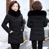 2023 new arrival autumn and winter women long cotton jacket hooded large fur collar cotton coat