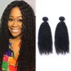 ブラジルの人間の髪キンキーカーリー2バンドル黒人女性のための自然な色9aレミーヘアエクステンション