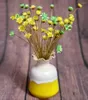 Flores decorativas arranjos de casamento de buquê de estrela pequena mini plantas naturais secas preservam a decoração da sala de casa floral 30/10pcs