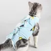 Katzenkostüme Kleidung Sterilisation Postoperative Kleidung Ropa Gato Kätzchenweste Wiederherstellungsschutzanzug Zubehör Rehabilitation