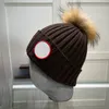 家族のような子供の女の子の男の子冬のスカルビーニーポンポム帽子ファッション冬の編み温かい帽子キャップ