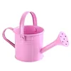 Équipements d'arrosage Mini Vintage en métal de mode peut fleur bouilloire pot de pulvérisation d'eau avec grande capacité pour enfants enfants décor de jardin à la maison