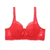 Nuevas encantadoras sujetador de encaje Floral bordado ropa interior para mujer Sexy aro push-up Bralette correas ajustables hebilla trasera sujetador