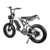 750W MOTOR Electric Bicycle 48V 15Ah Electric Bike Lithium Battery 20 tum 4,0 Fat Däck Retro E-Bike Beach Snow Bike