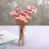 Flores decorativas arranjos de casamento de buquê de estrela pequena mini plantas naturais secas preservam a decoração da sala de casa floral 30/10pcs