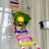 Bird Parrot Swing Toy Chewing Hanging Hammock Bell Ladder för små parakiter cockatiels Conures Finches XBJK2304